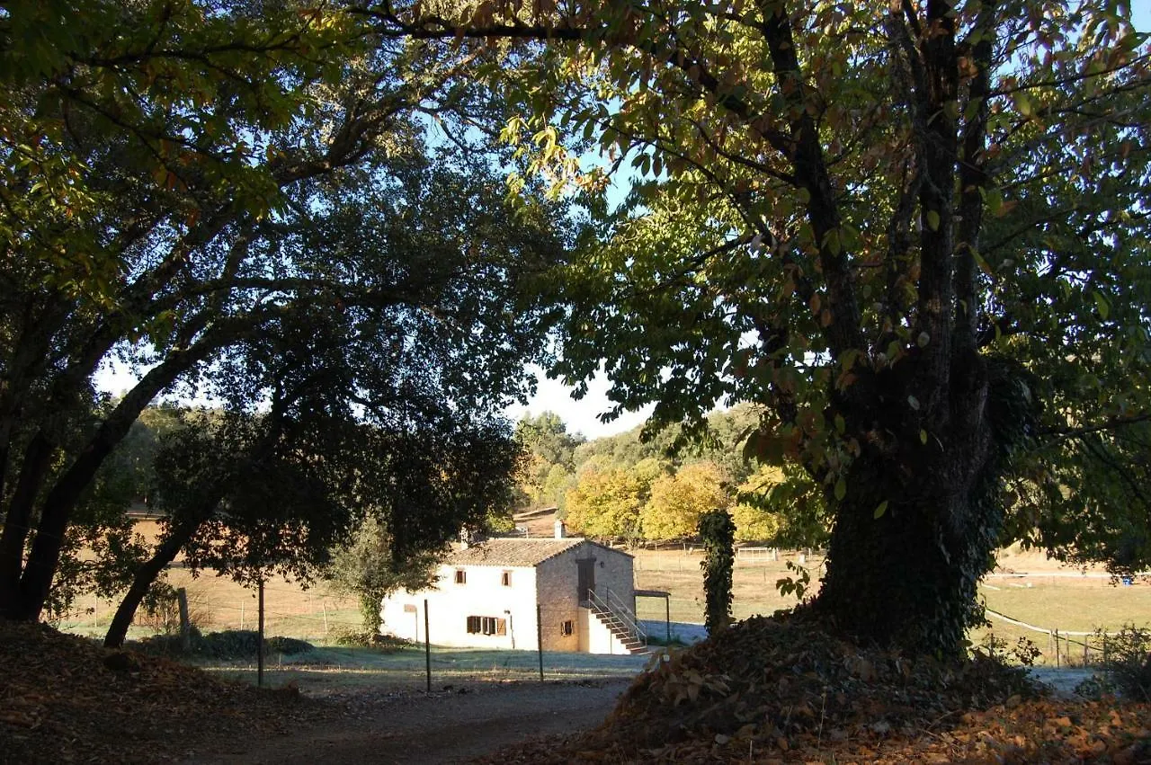 Finca El Zurrador Guest House Fuenteheridos Country house
